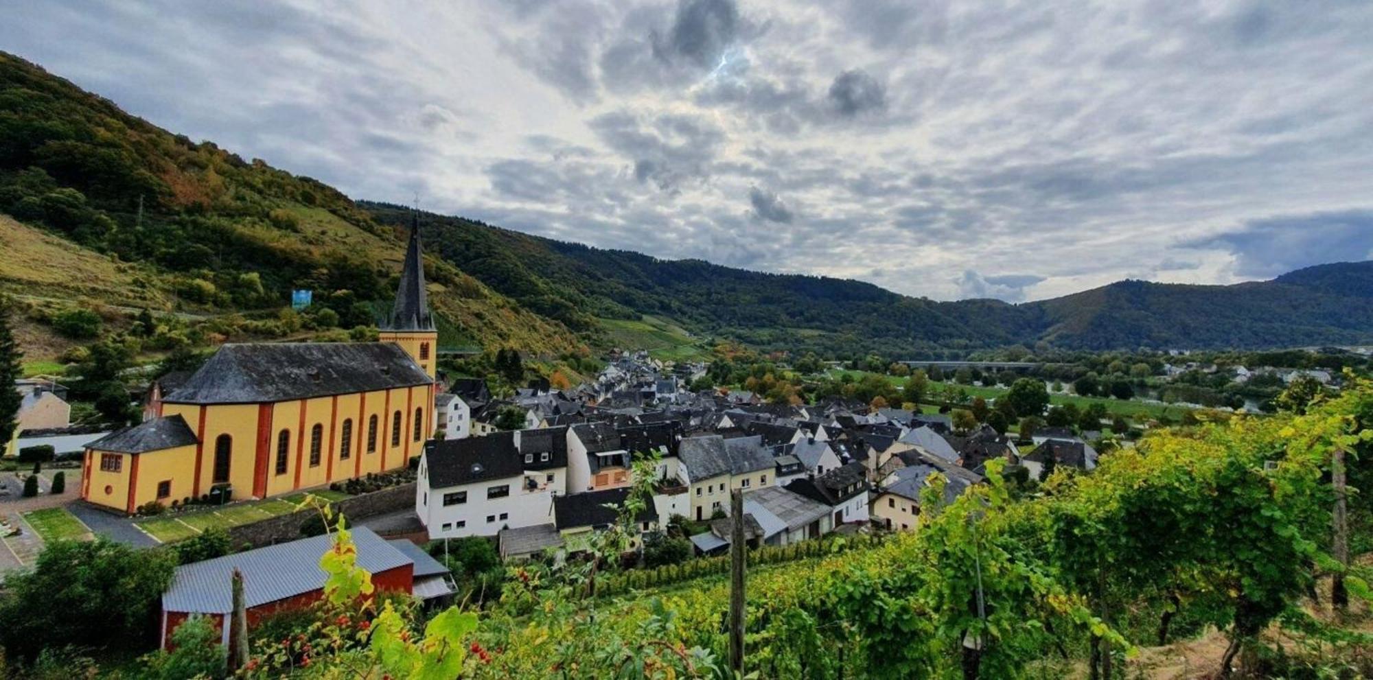 סנהיים Ferienwohnung An Der Mosel, Romeo מראה חיצוני תמונה